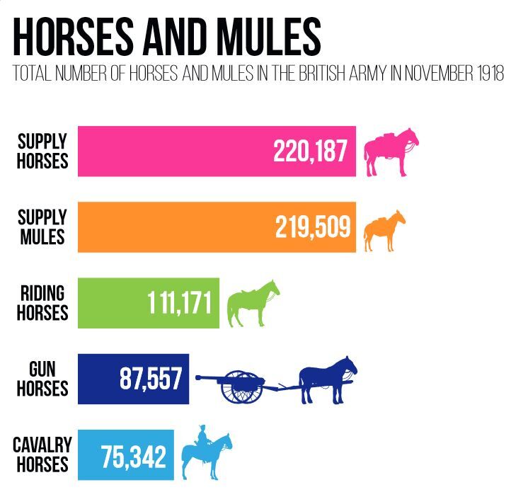 Stories of sacrifice animals infographic