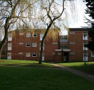 HamCam Accommodation building in sunlight
