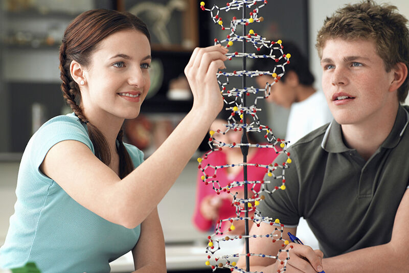 GCSE support sessions - Science