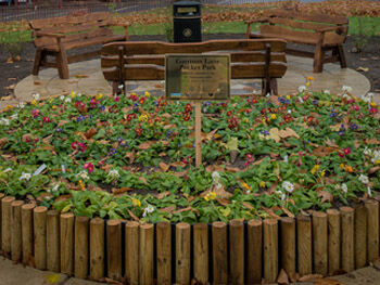 Pocket park