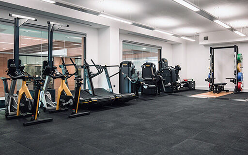 Fitness suite